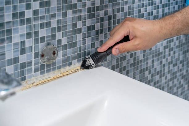 Best Residential Mold Removal  in Whitehall, OH
